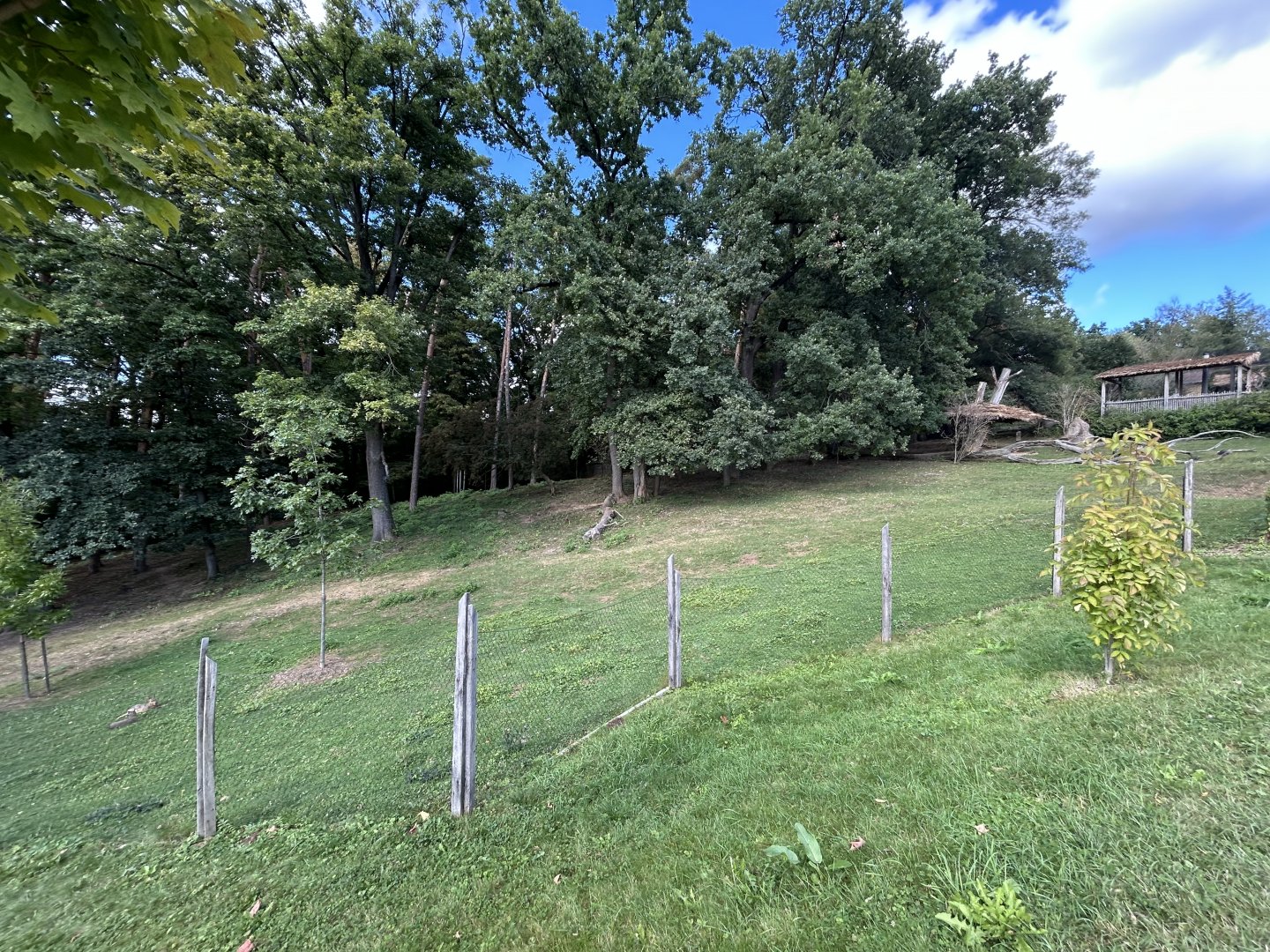 South American Tapir & Mara Exhibit