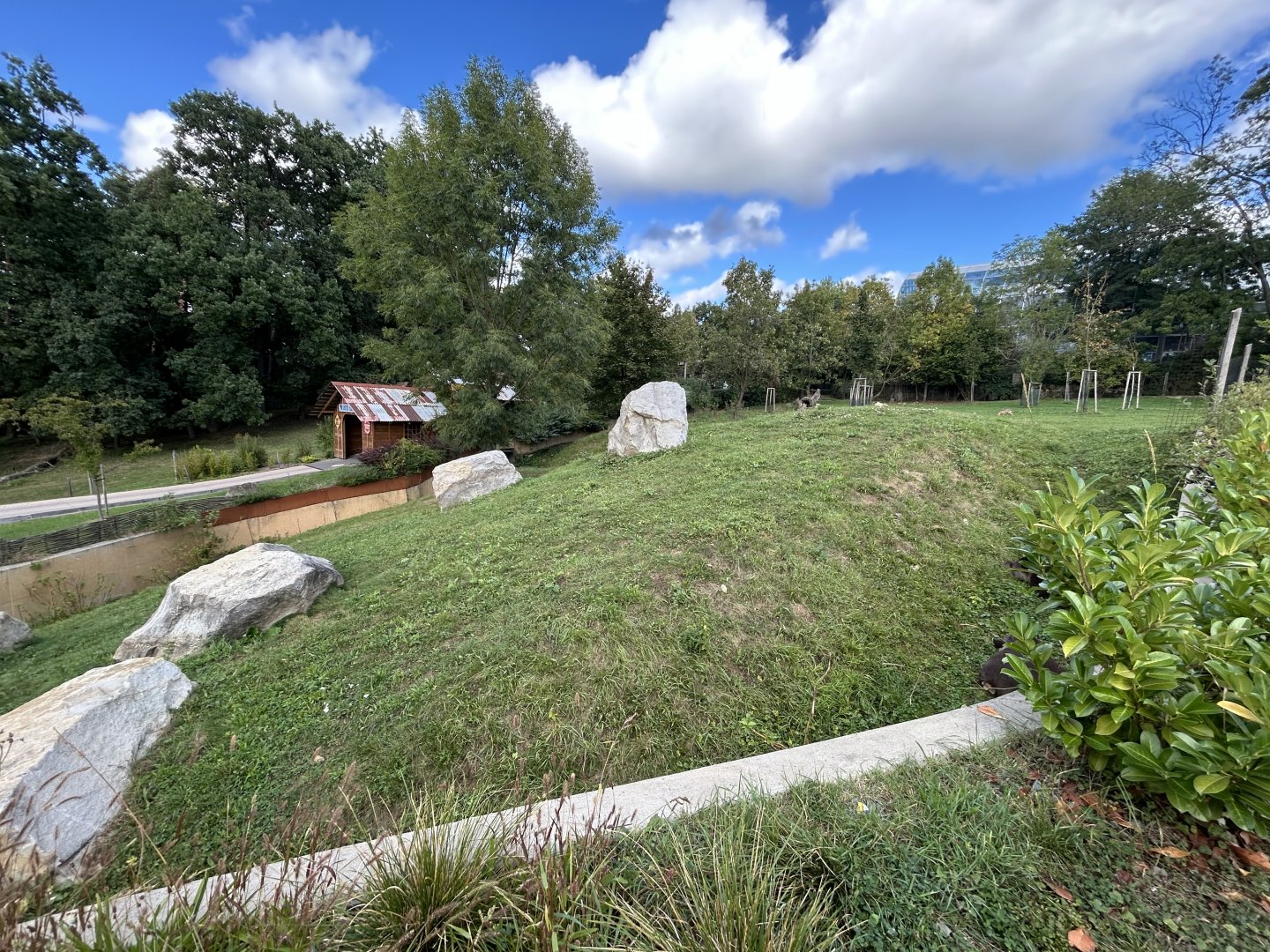 South American Tapir & Mara Exhibit