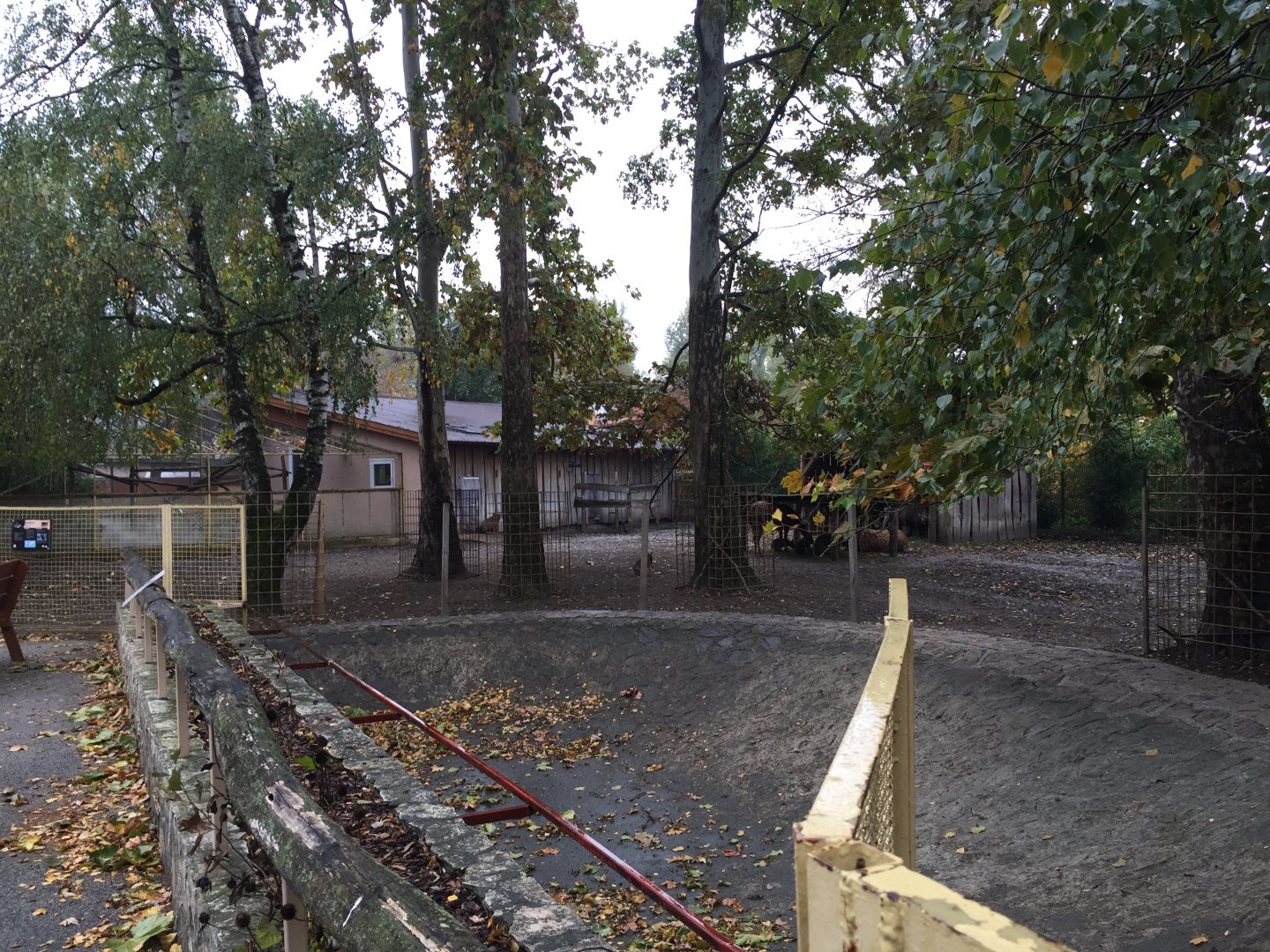 South American tapir outdoor exhibit 10.2020.