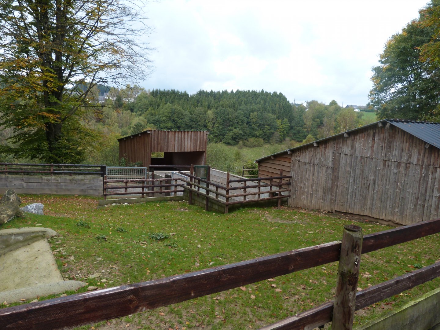 South american tapir - Parc animalier de Bouillon