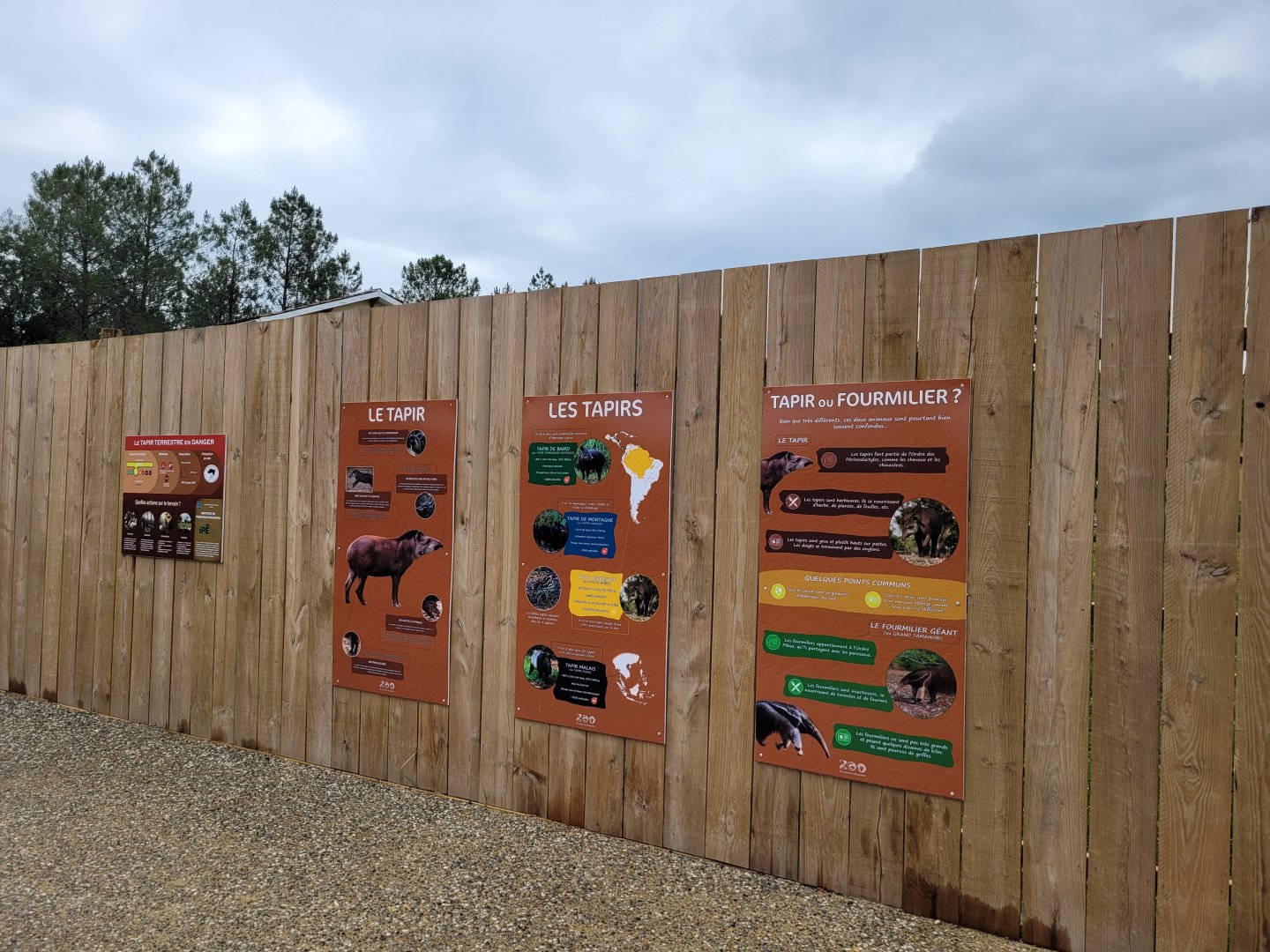 South American tapir signs -Zoo du bassin d'Arcachon (2024)
