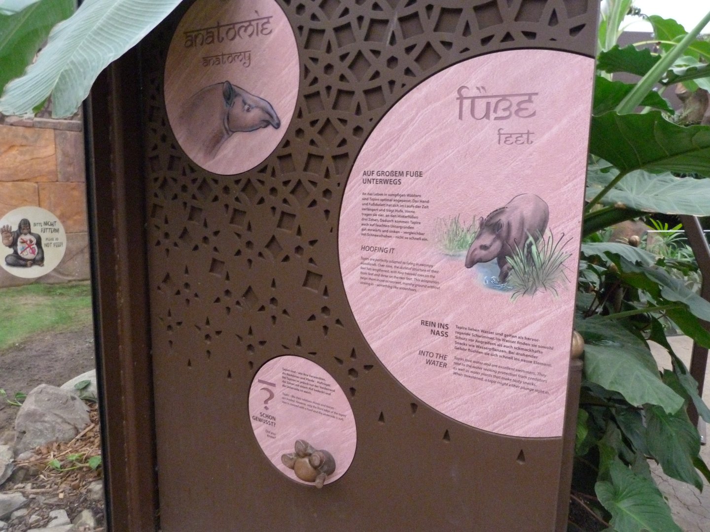 South American tapir signs -Zoologischer Garten Berlin (2024)