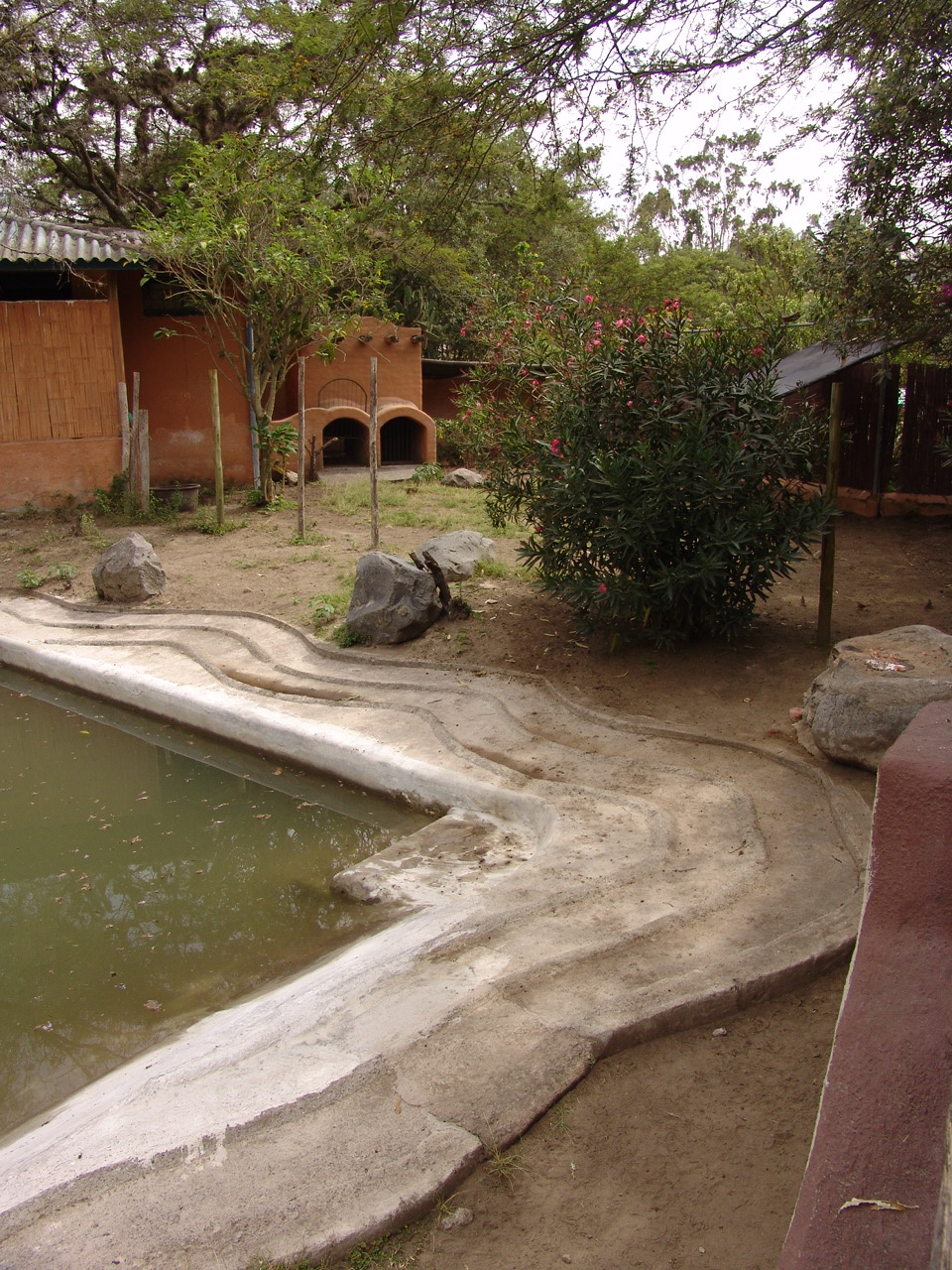 South American Tapirs' (Tapirus terrestris) enclosure