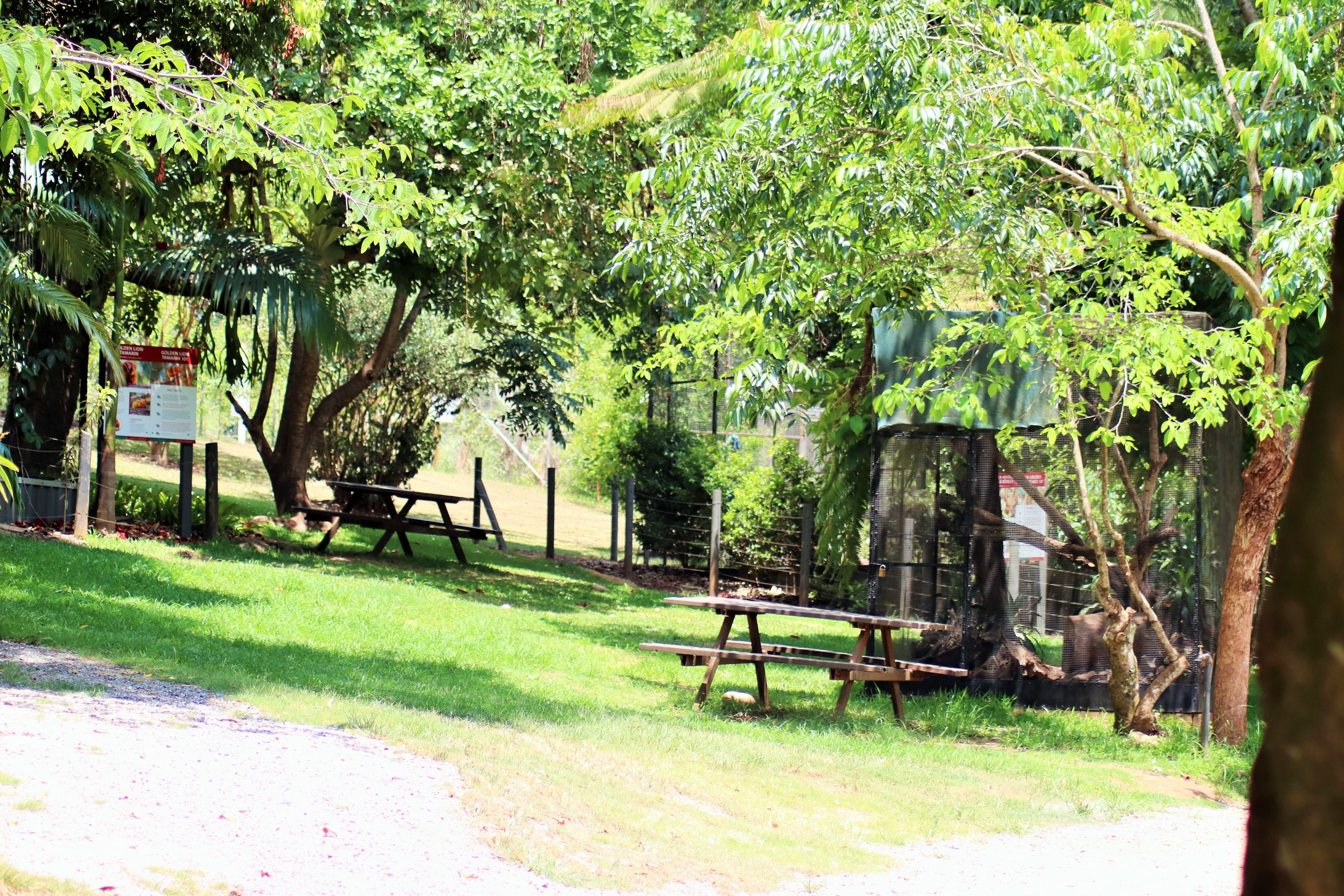 South American Trail