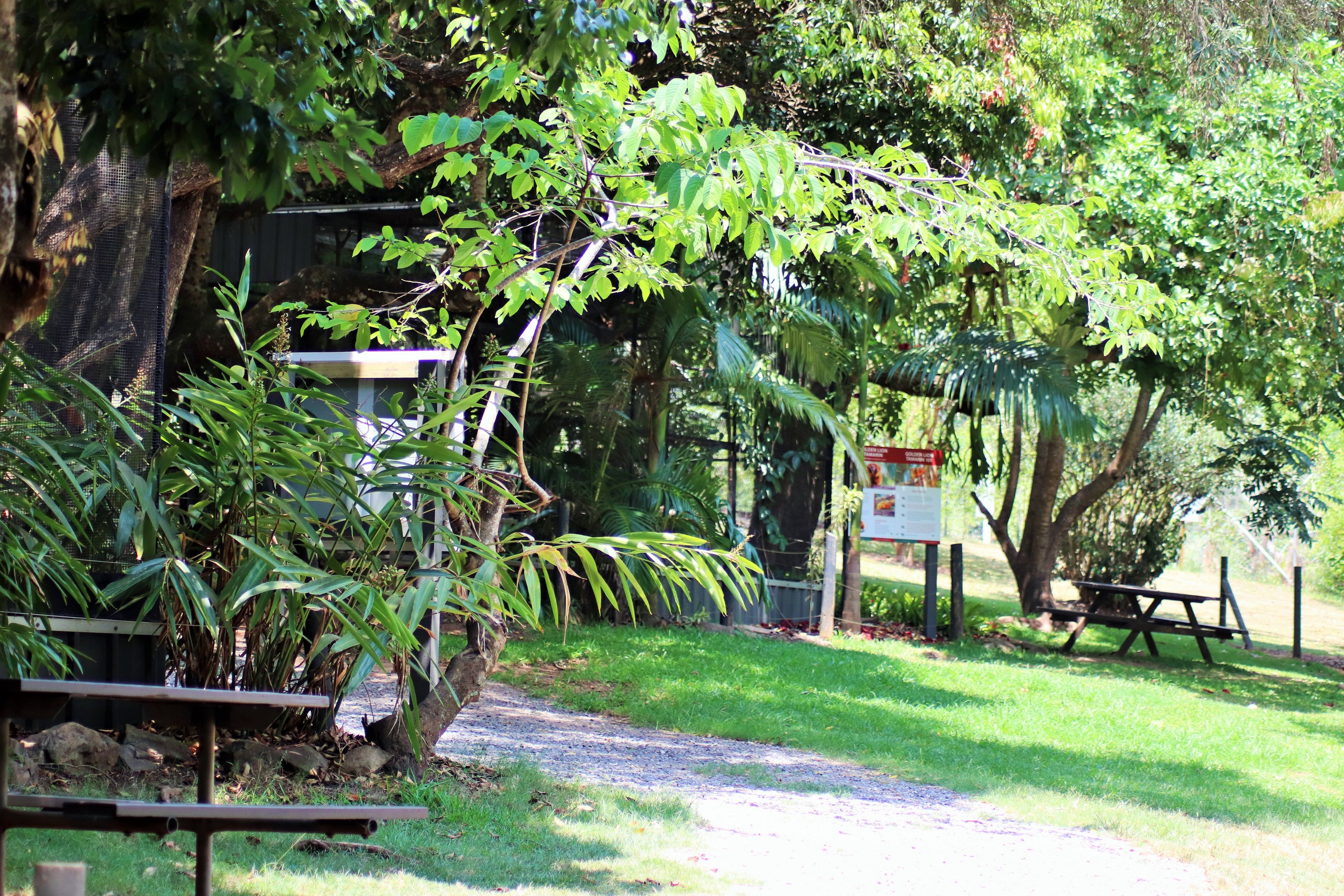 South American Trail