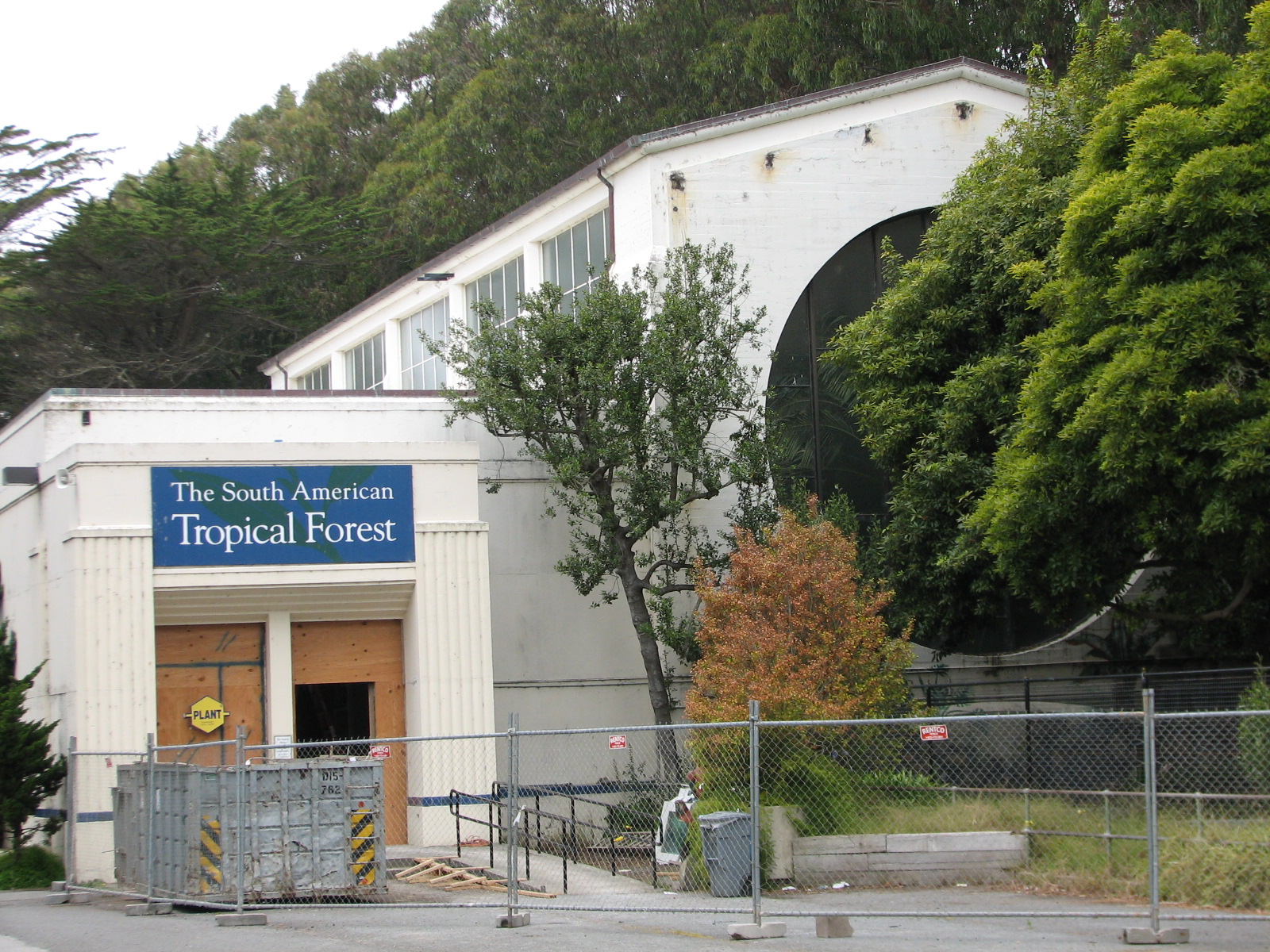 South American Tropical Forest Building