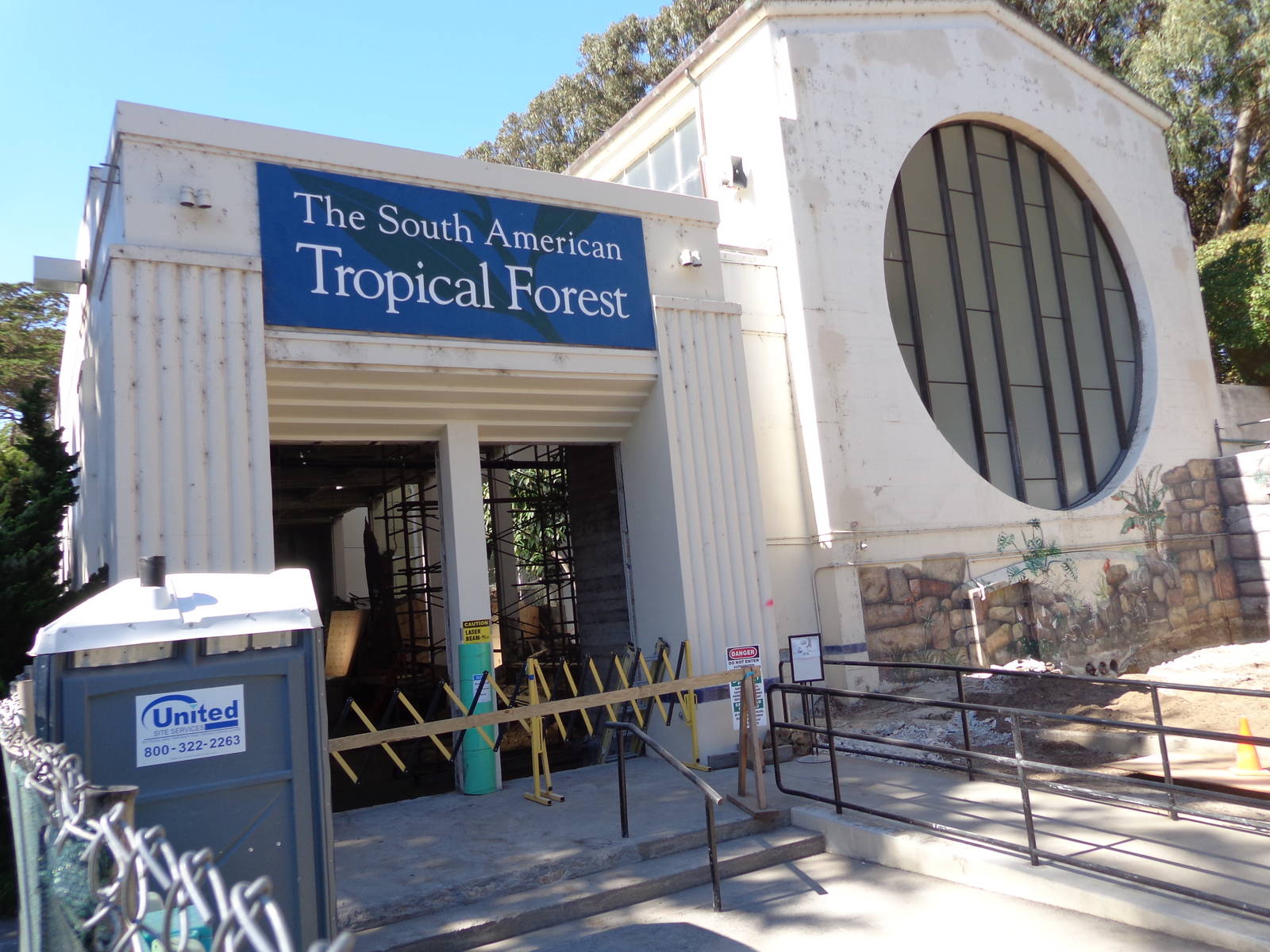 South American Tropical Forest Renovation #1