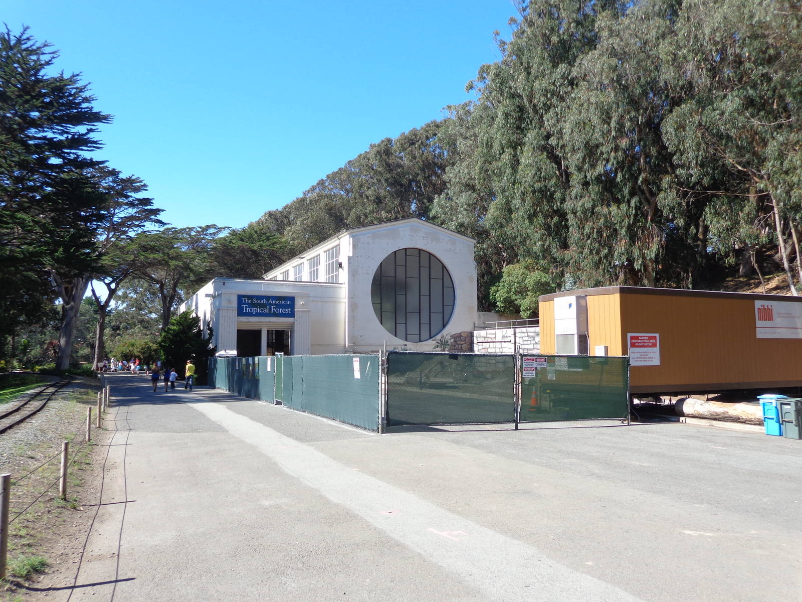 South American Tropical Forest Renovation
