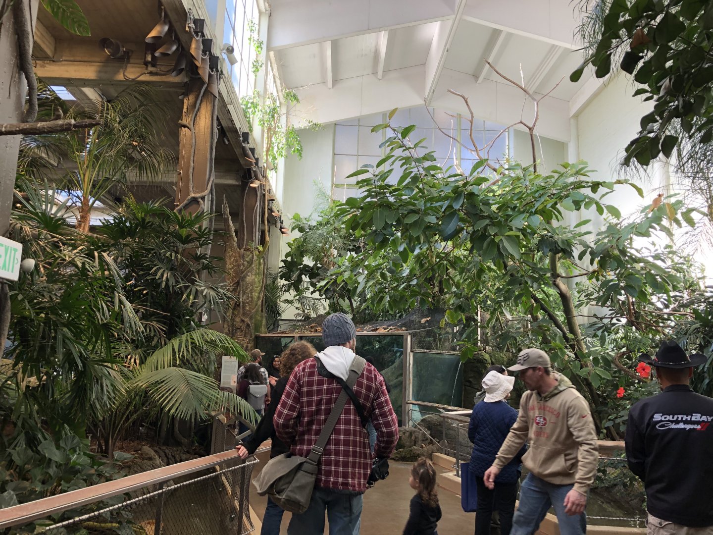 South American Tropical Rainforest & Aviary interior