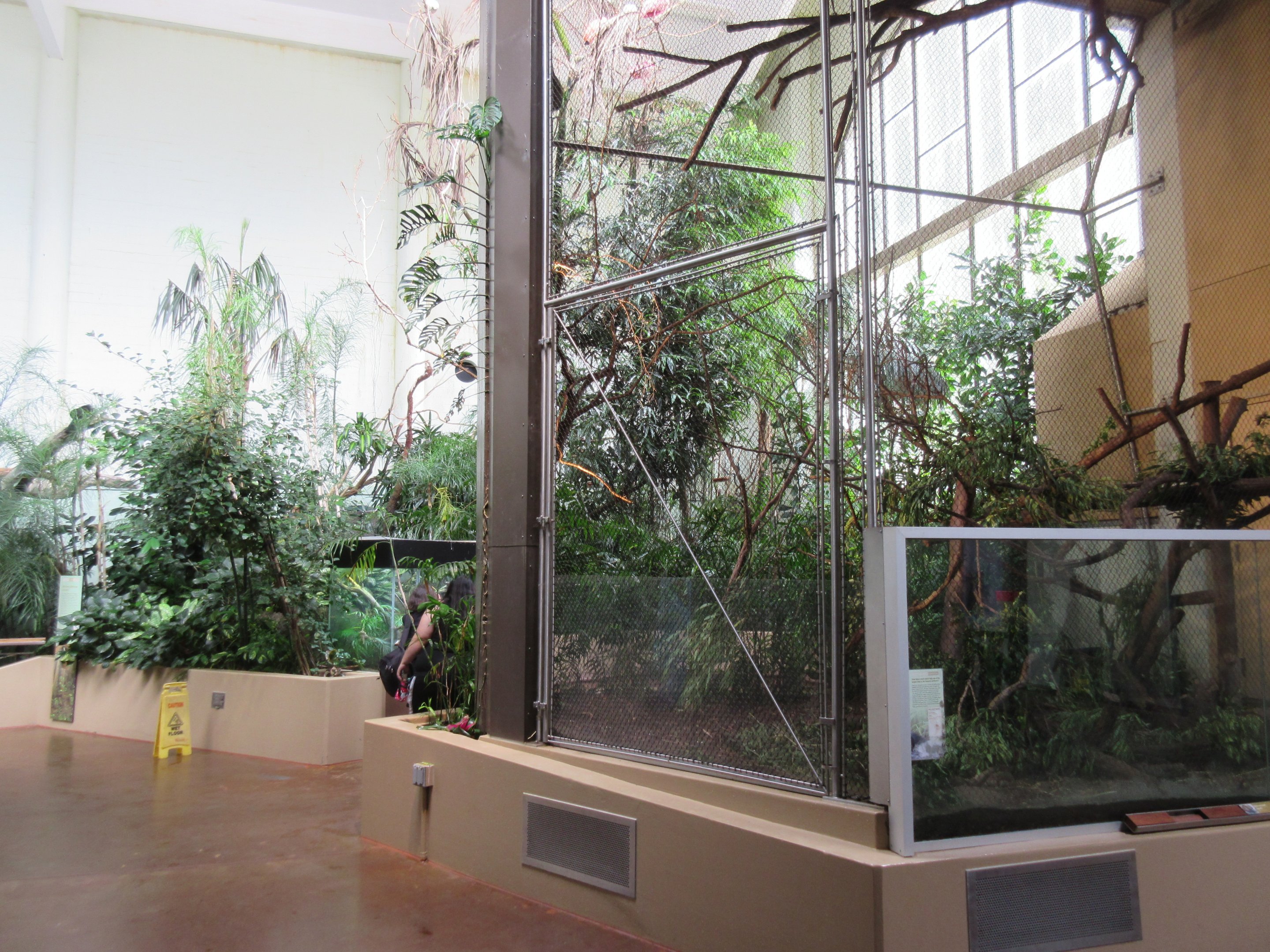 South American Tropical Rainforest & Aviary