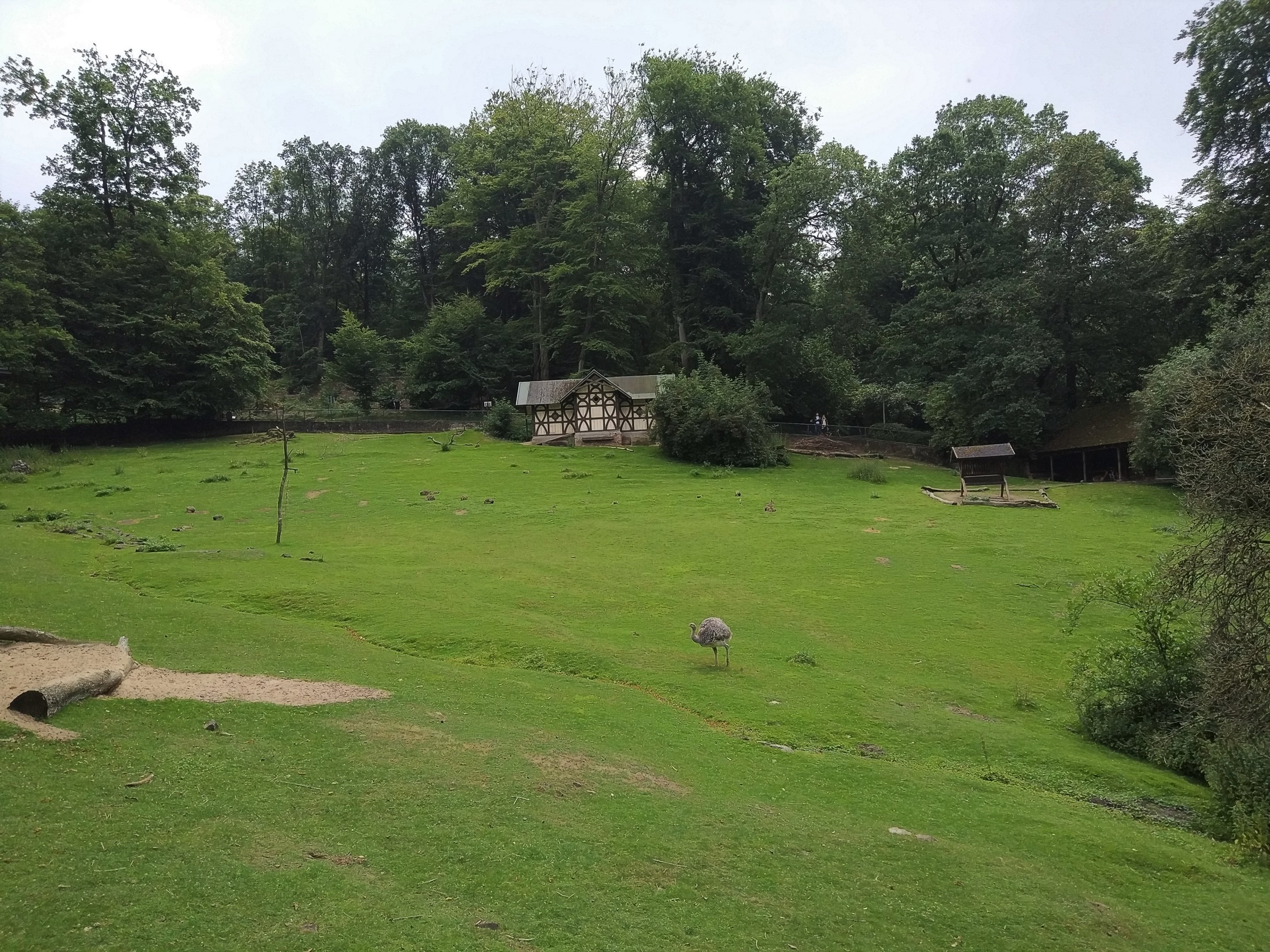 South American Valley