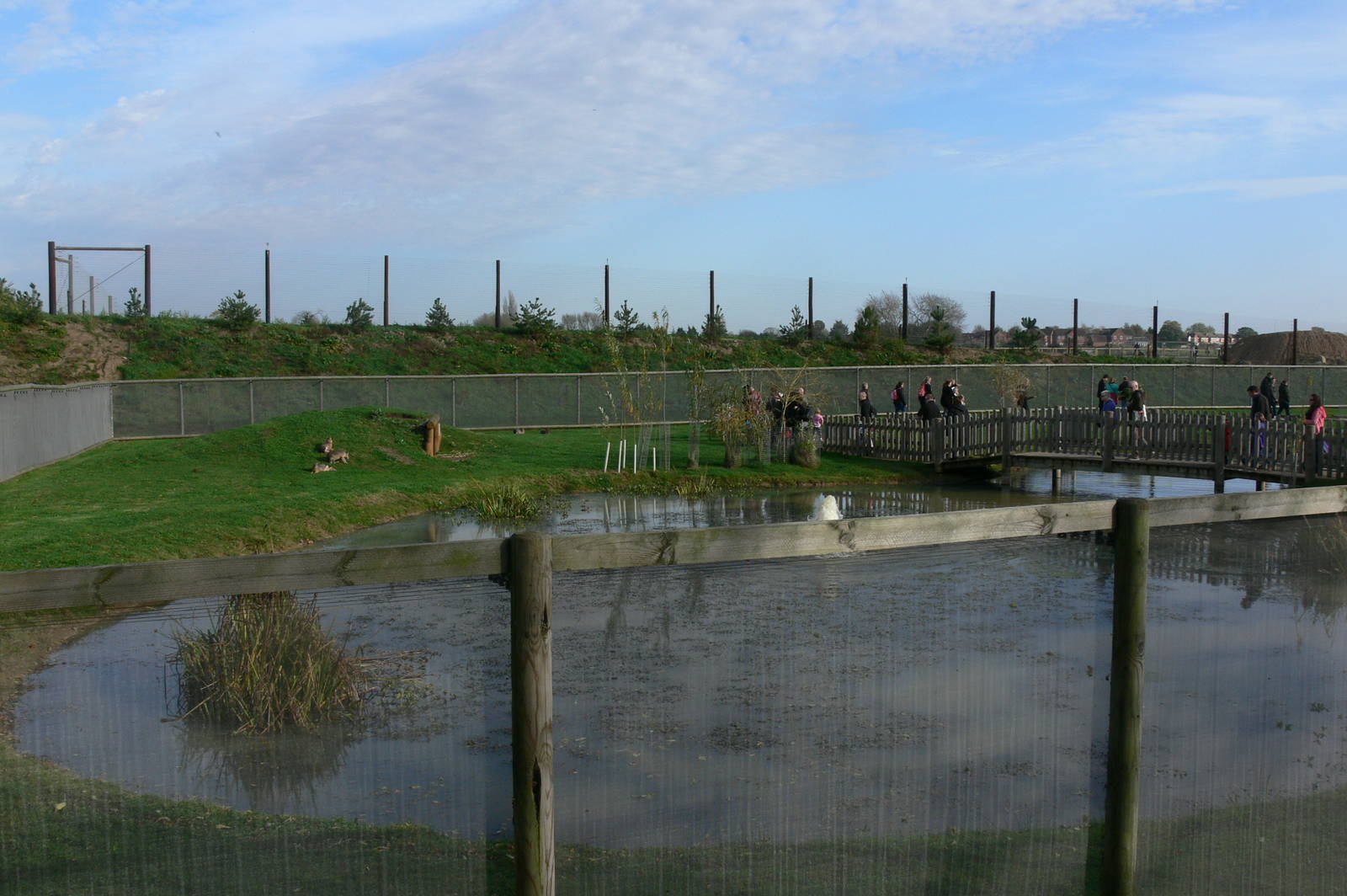 South American Viva at Yorkshire WP, 28/10/14