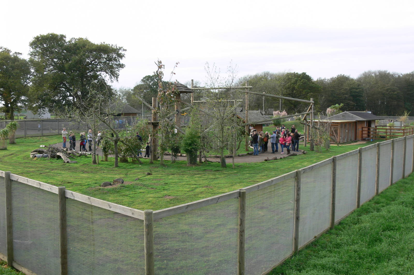 South American Viva at Yorkshire WP, 28/10/14