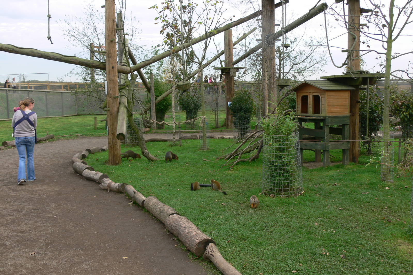 South American Viva at Yorkshire WP, 28/10/14