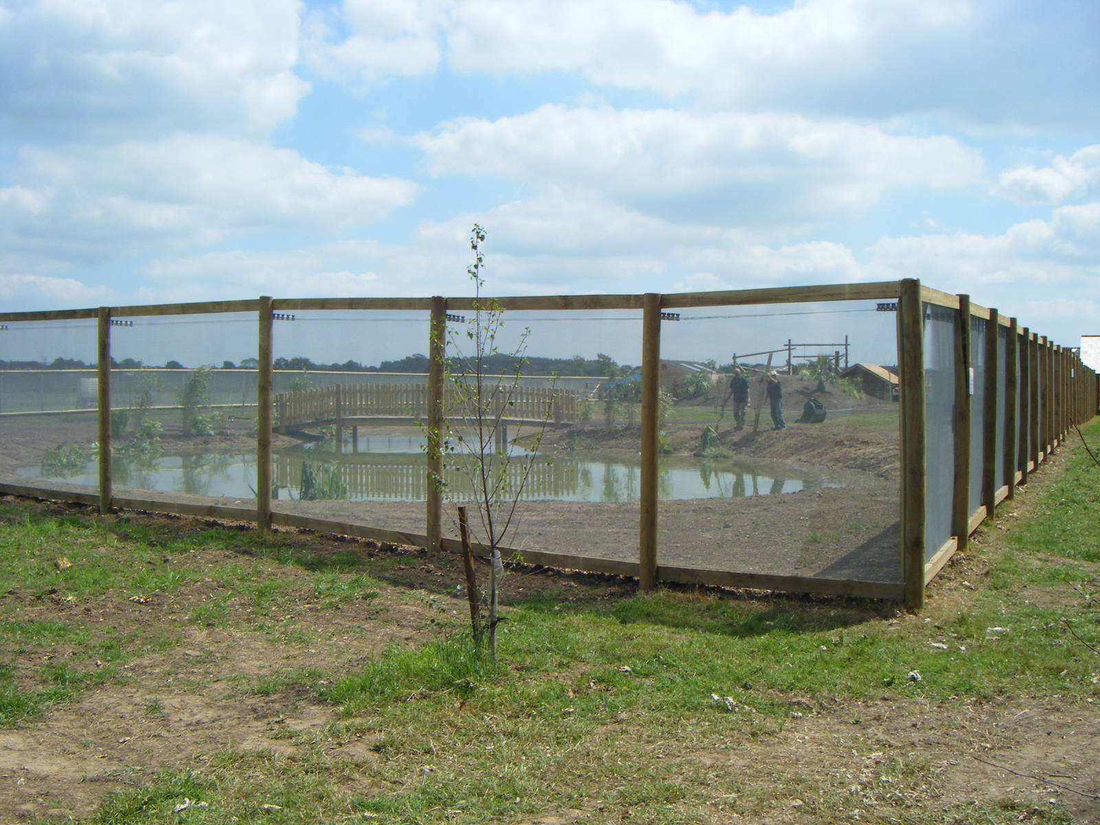 South American Viva!