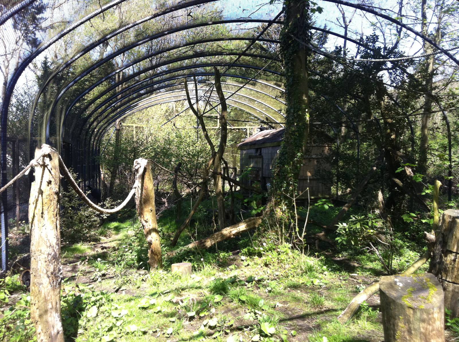 South American Walk-through - 24th April 2011