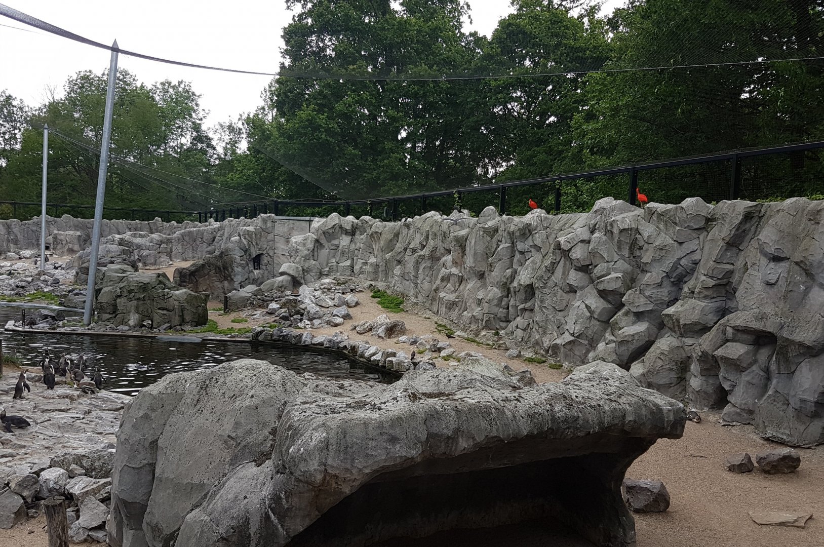 South American Walk-through aviary