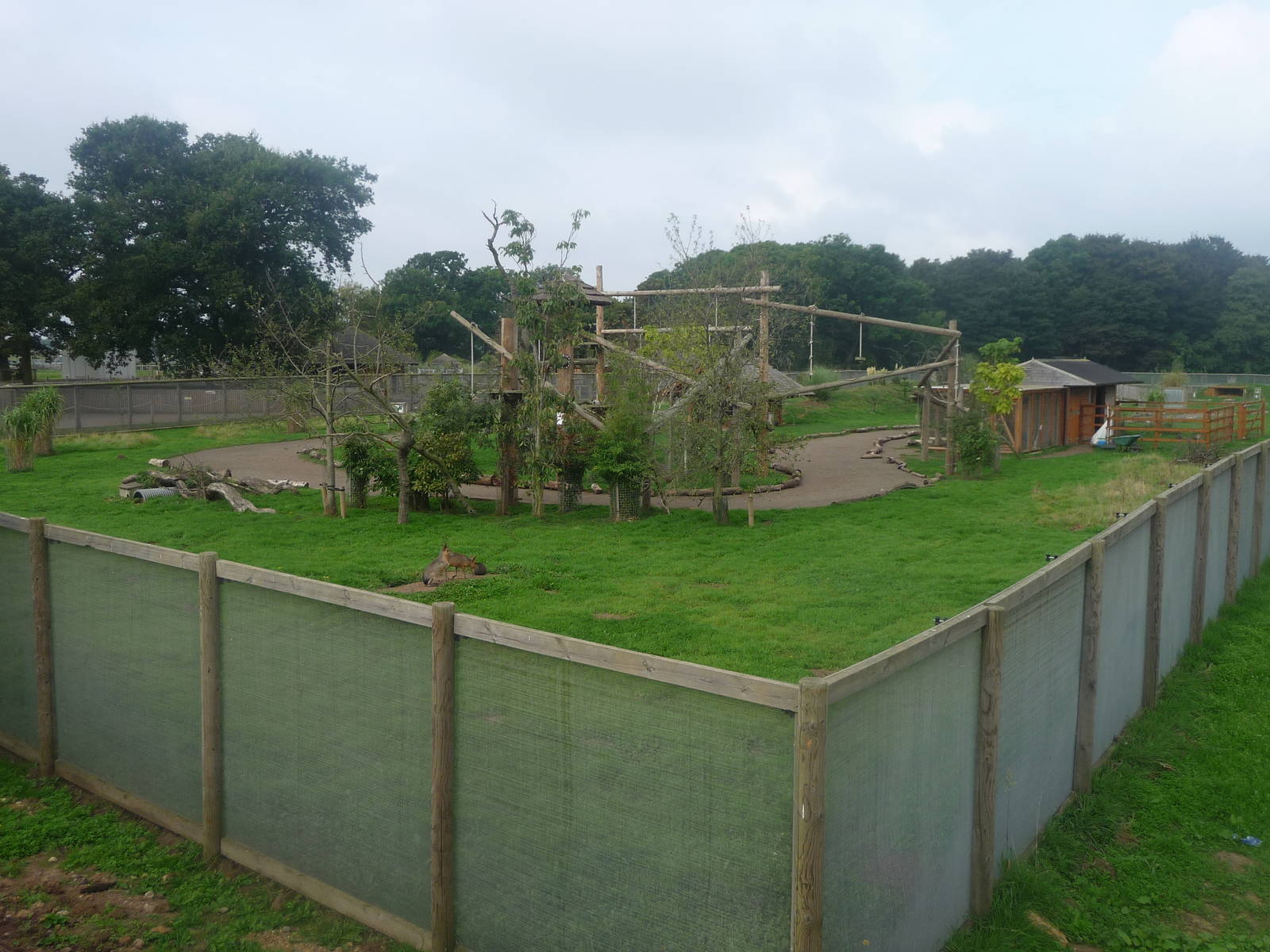 South American walk through