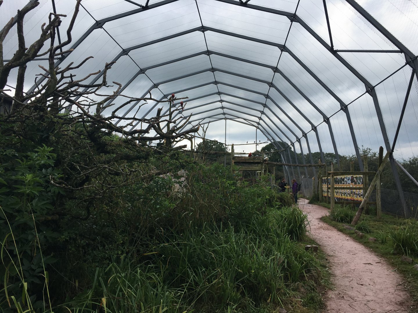 South American walkthrough aviary 020817