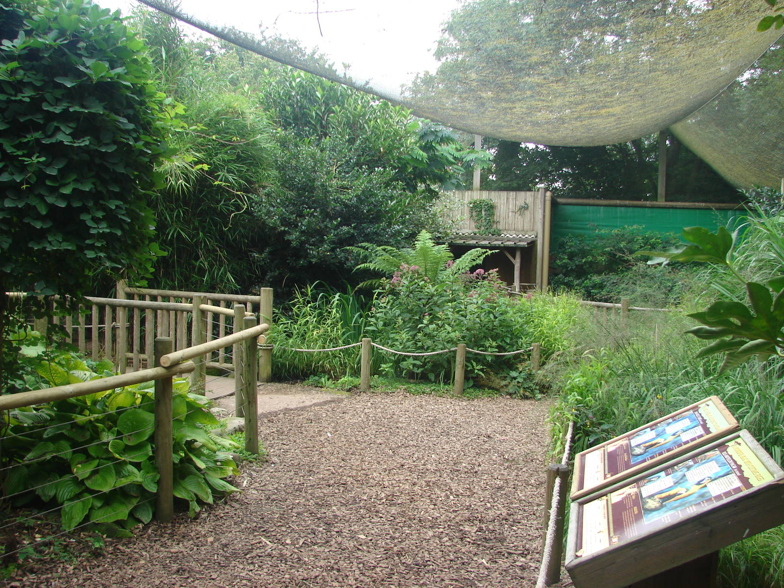 South-american walkthrough aviary