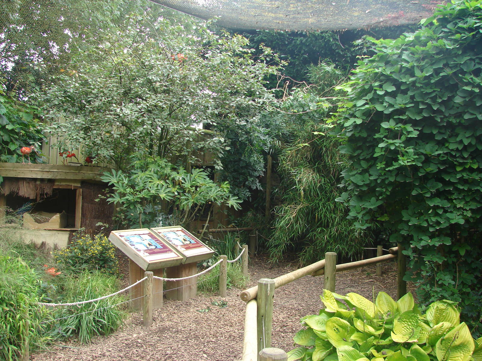 South-american walkthrough aviary