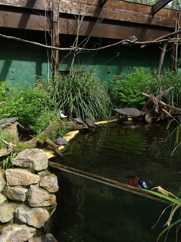 South American walkthrough aviary.