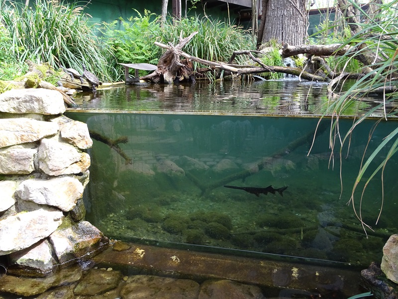 South American walkthrough aviary.