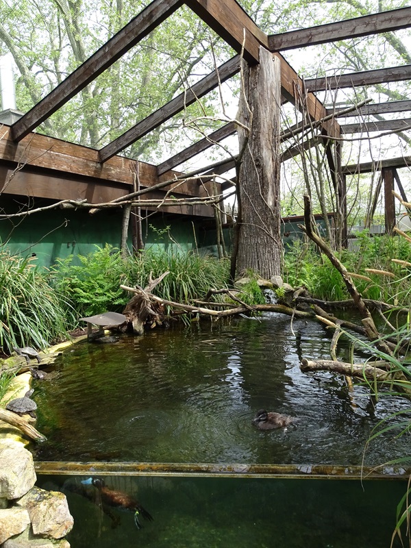 South American walkthrough aviary.