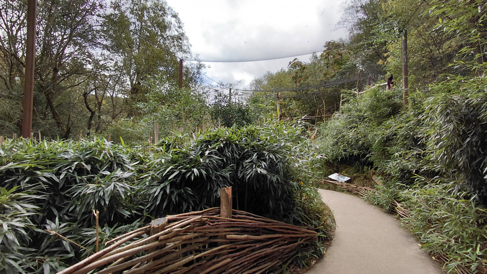 South American walkthrough aviary