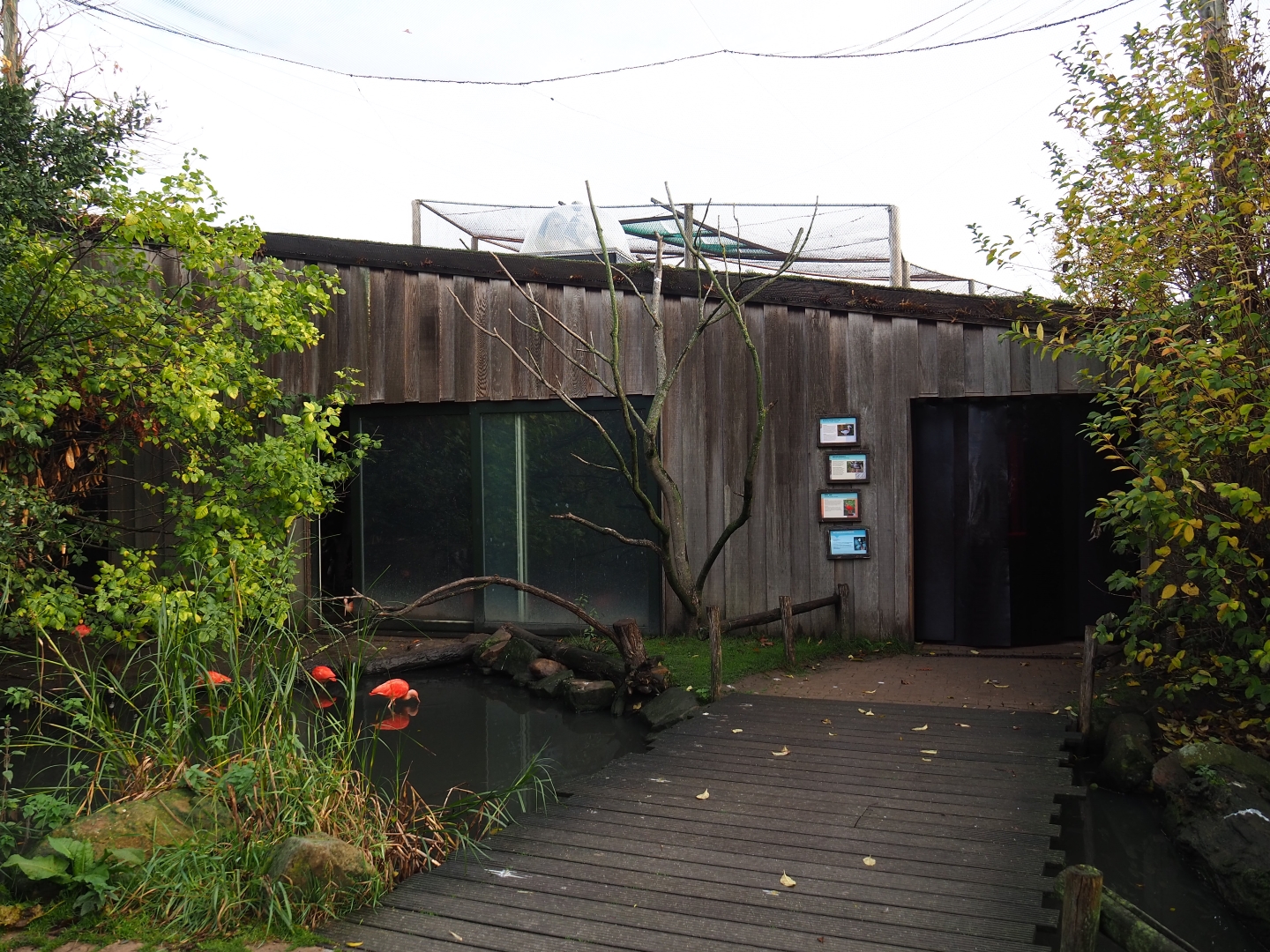 South American waterfowl aviary and building (Nov 10th, 2018)