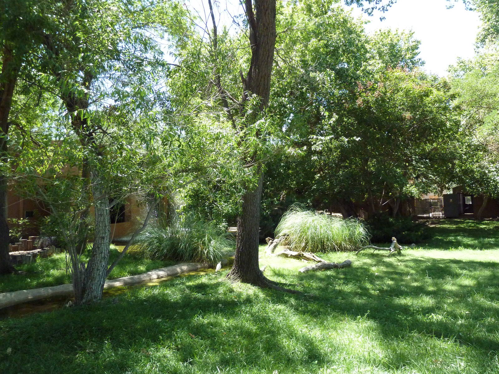 South American Waterfowl Exhibit