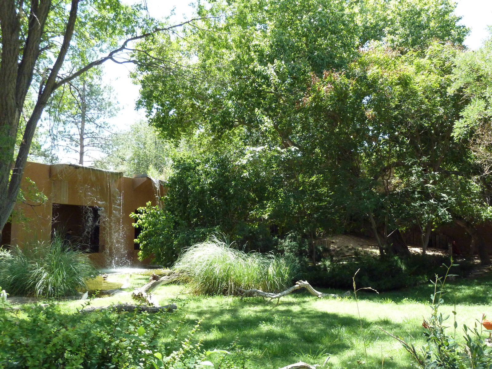 South American Waterfowl Exhibit