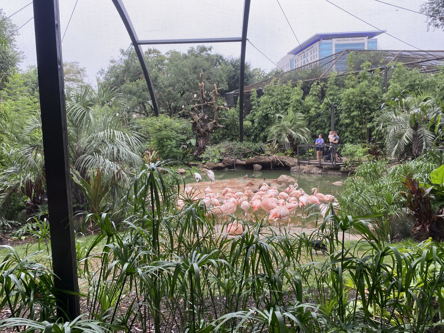 South American Wetlands Aviary