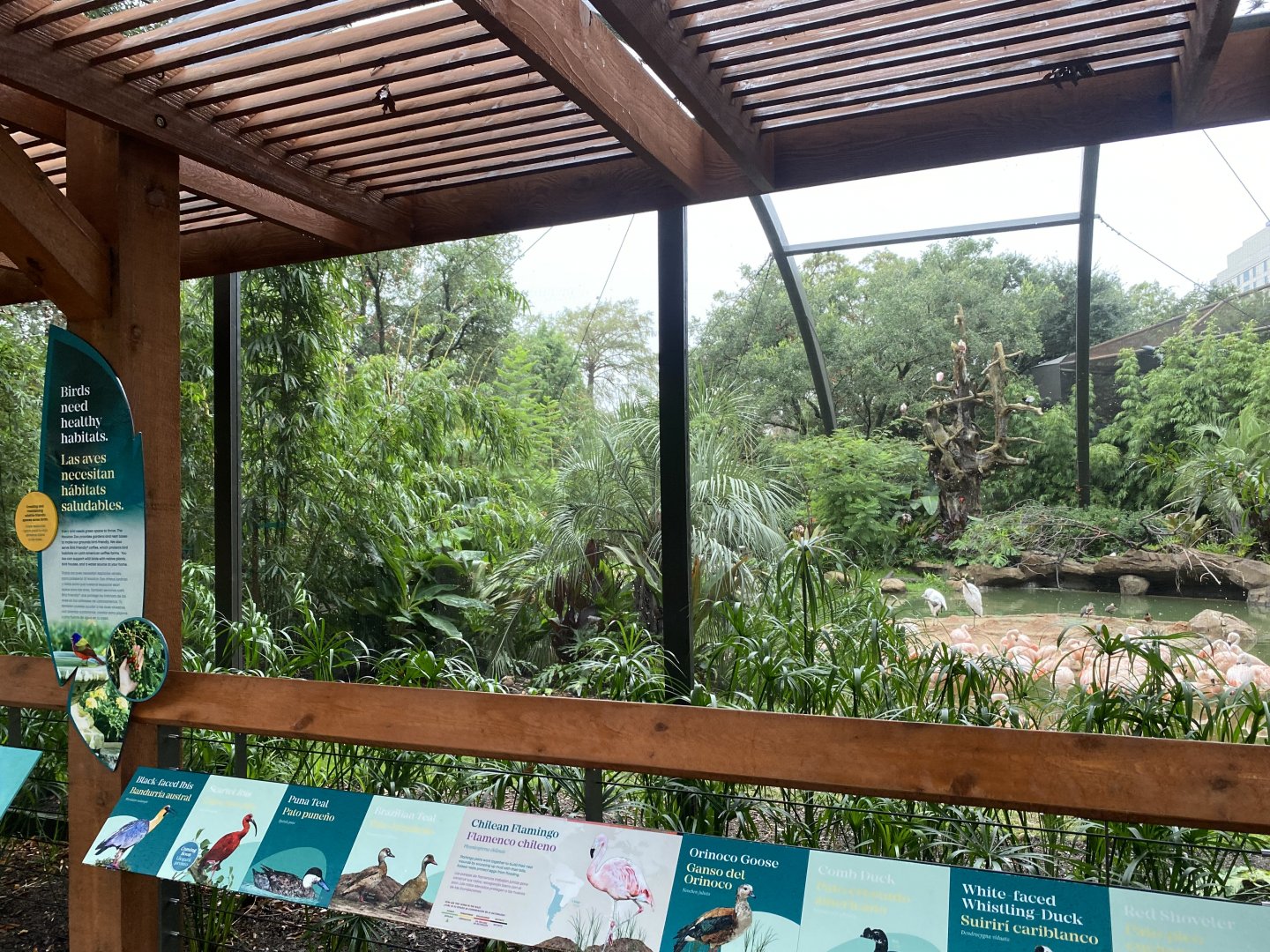 South American Wetlands Aviary