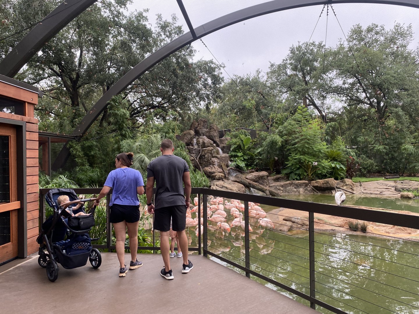 South American Wetlands Aviary