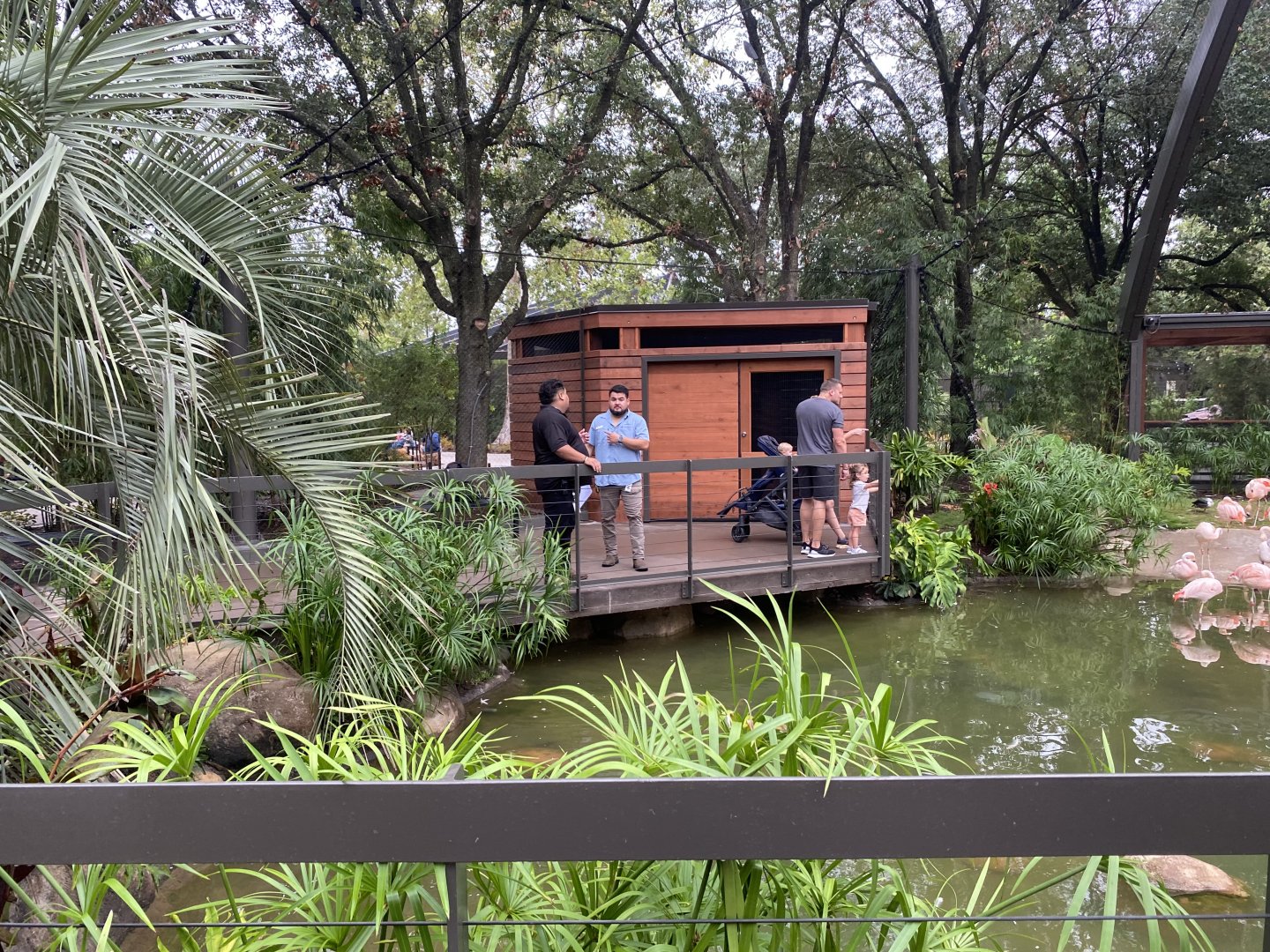 South American Wetlands Aviary