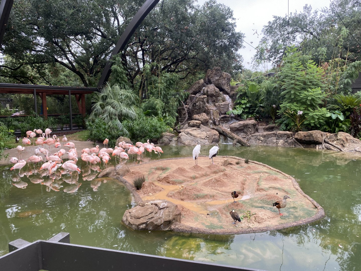 South American Wetlands Aviary