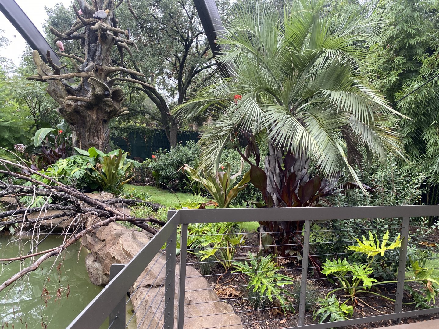 South American Wetlands Aviary