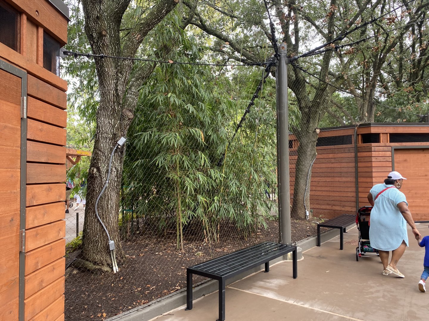 South American Wetlands Aviary