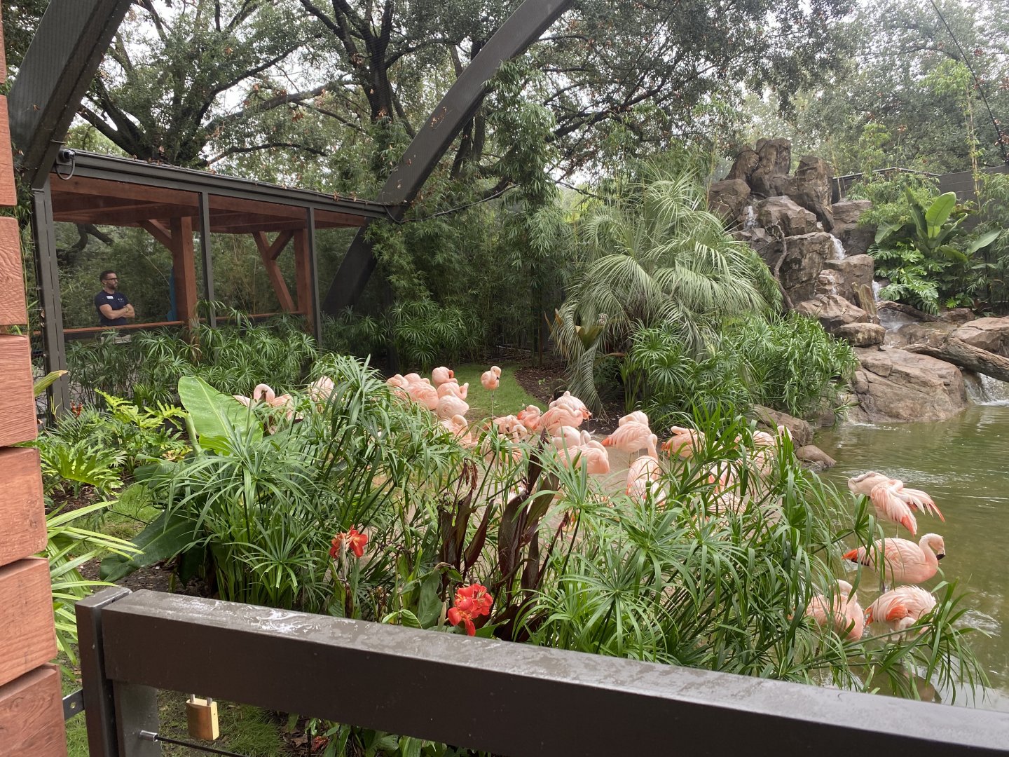South American Wetlands Aviary