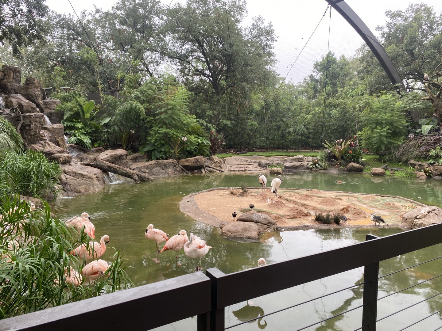 South American Wetlands Aviary