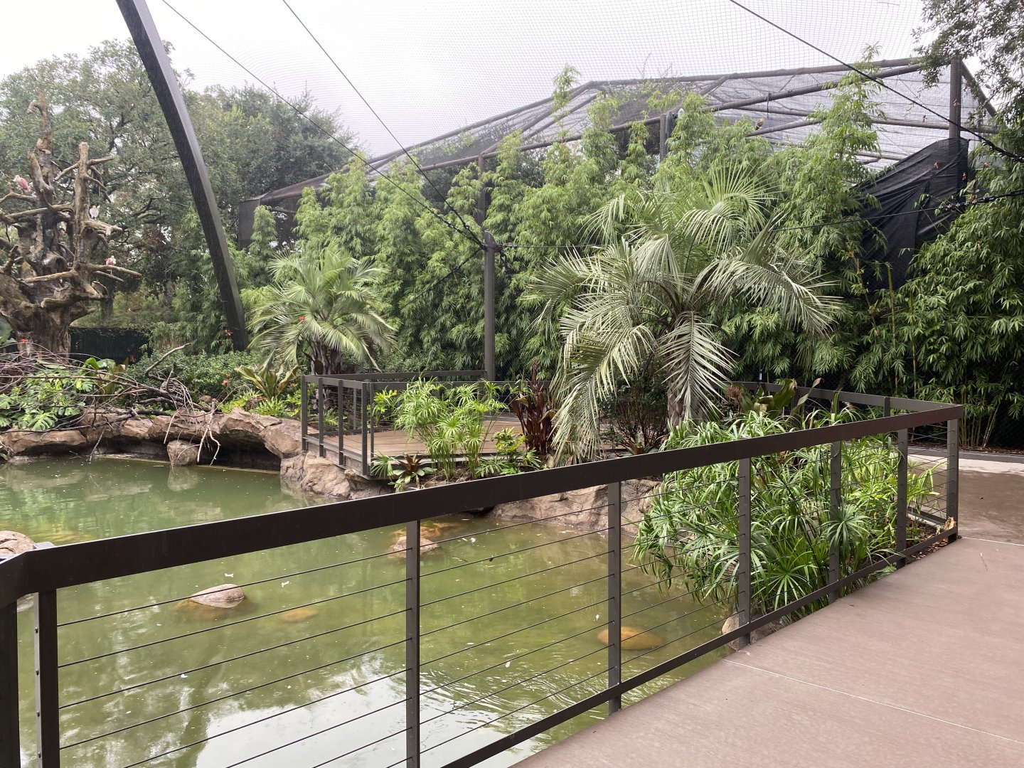 South American Wetlands Aviary