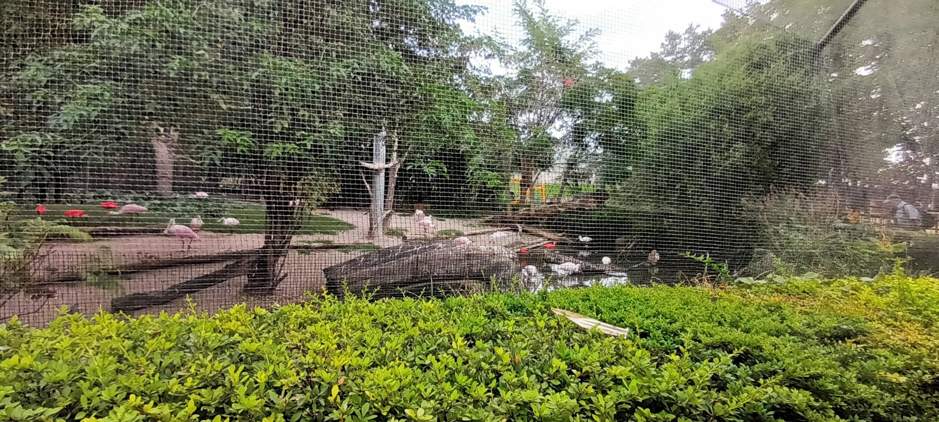 South american Wetlands Aviary