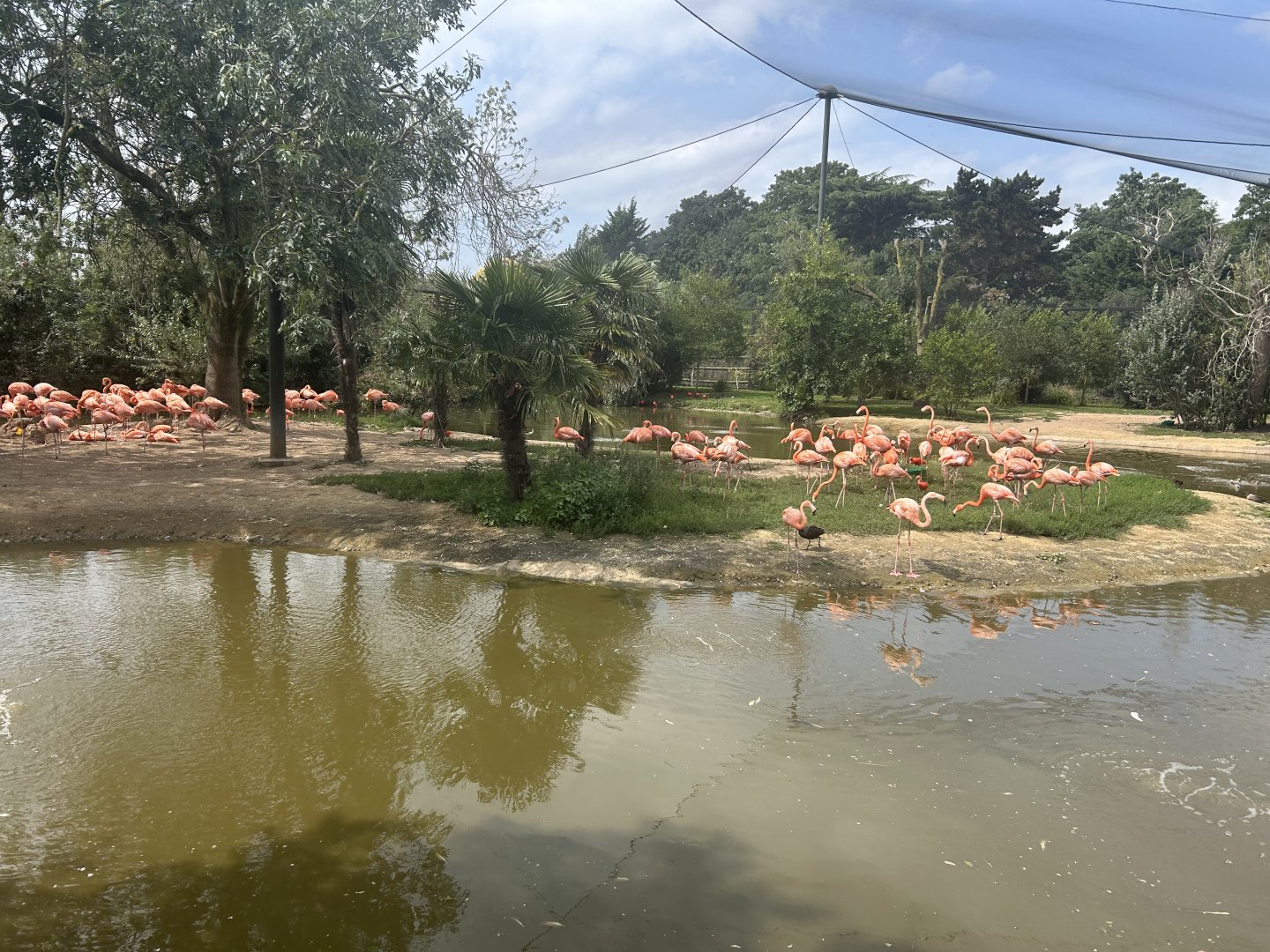 South American Wetlands Aviary