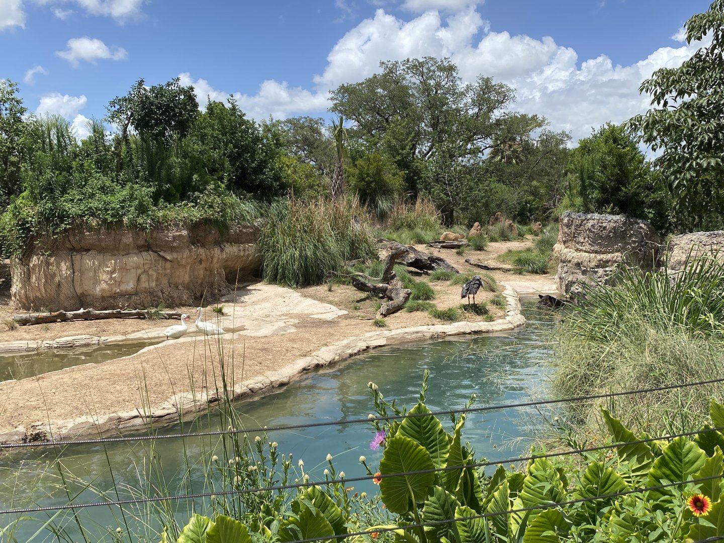 South American’s Pantanal