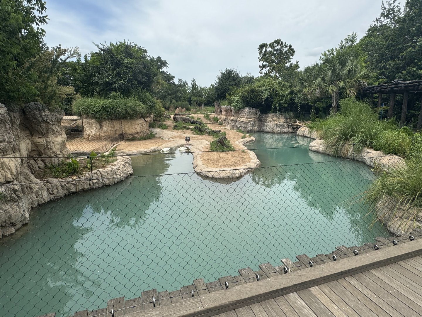 South America's Pantanal (7/3/24)