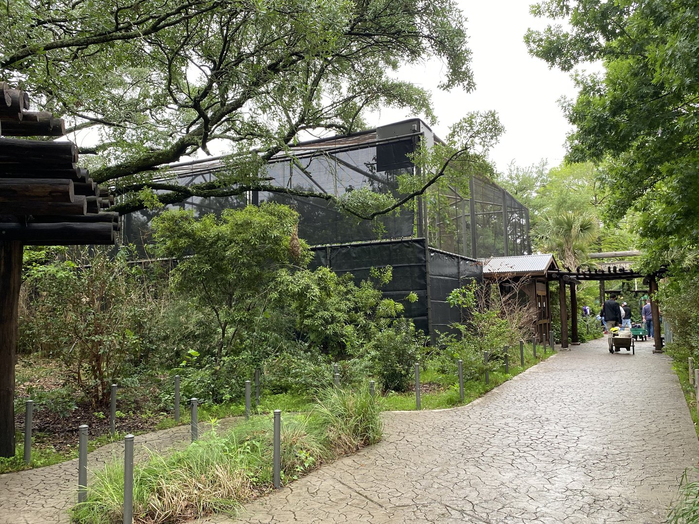 South America’s Pantanal- Savanna Aviary