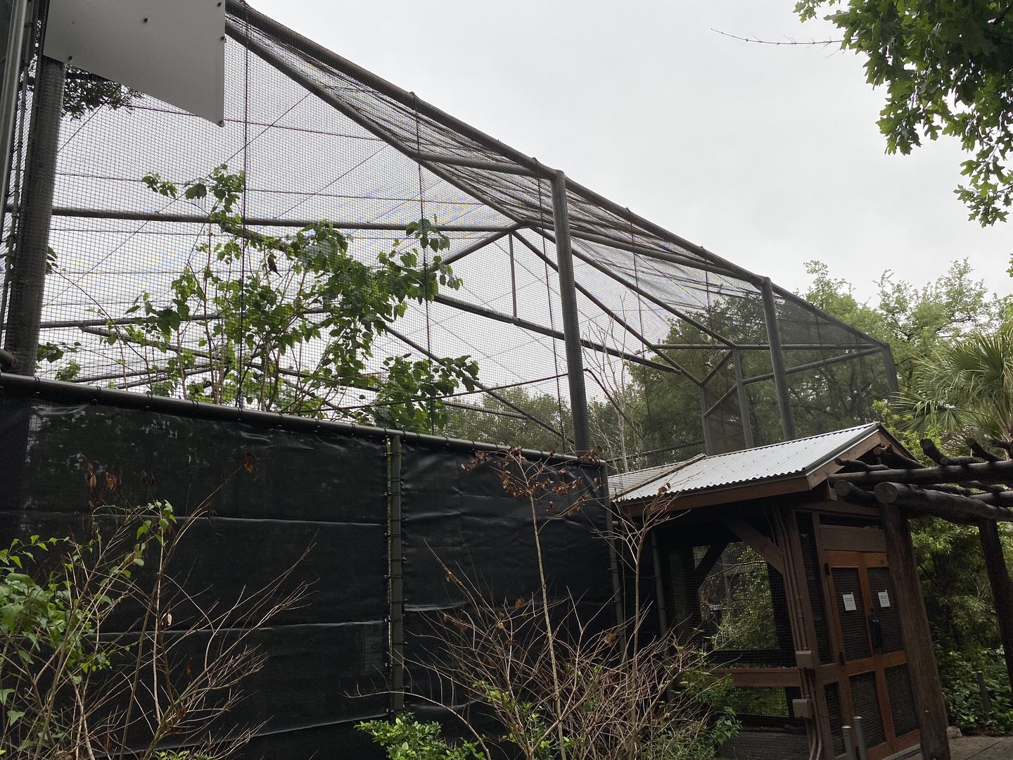 South America’s Pantanal- Savanna Aviary