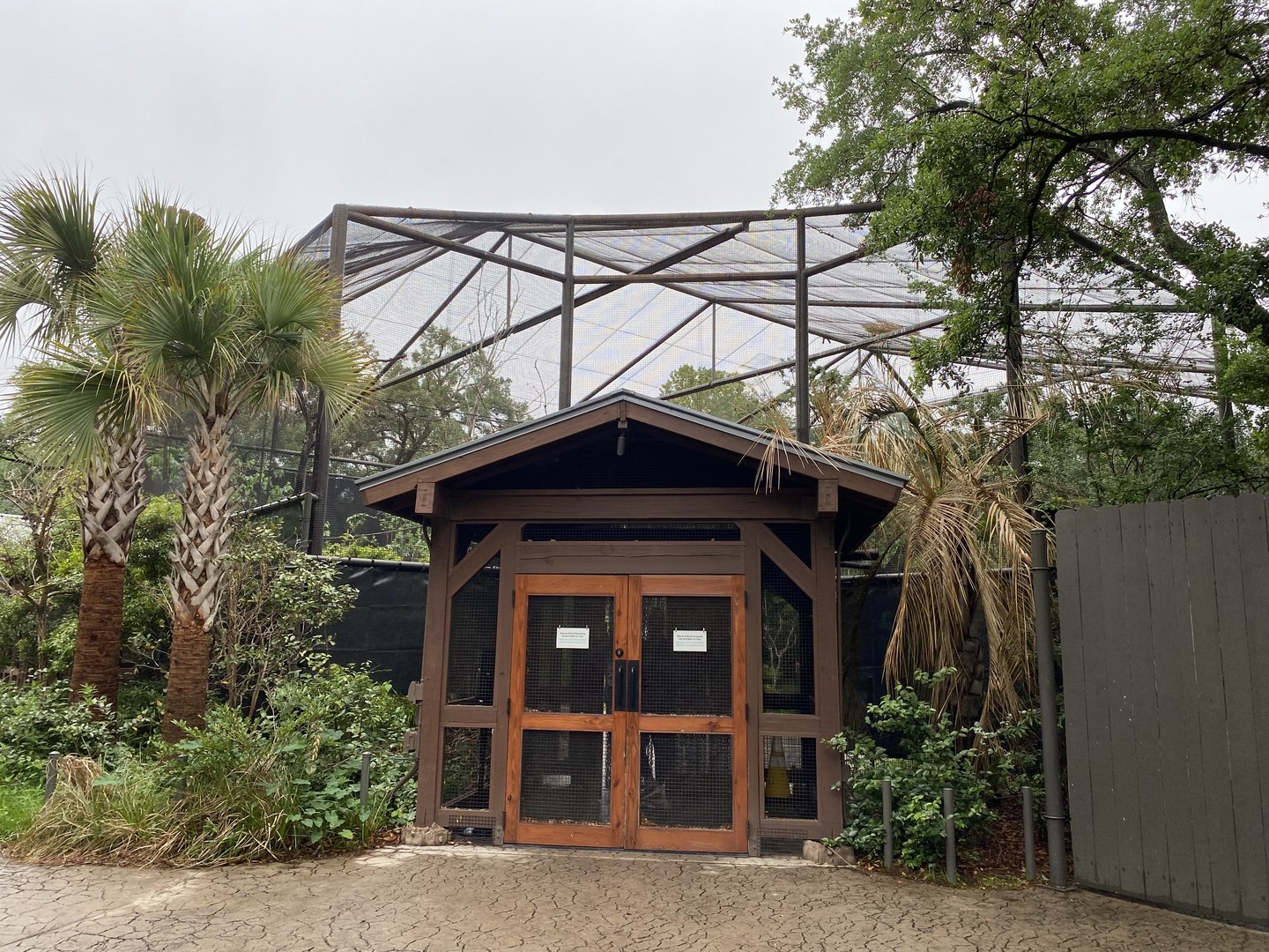 South America’s Pantanal- Savanna Aviary