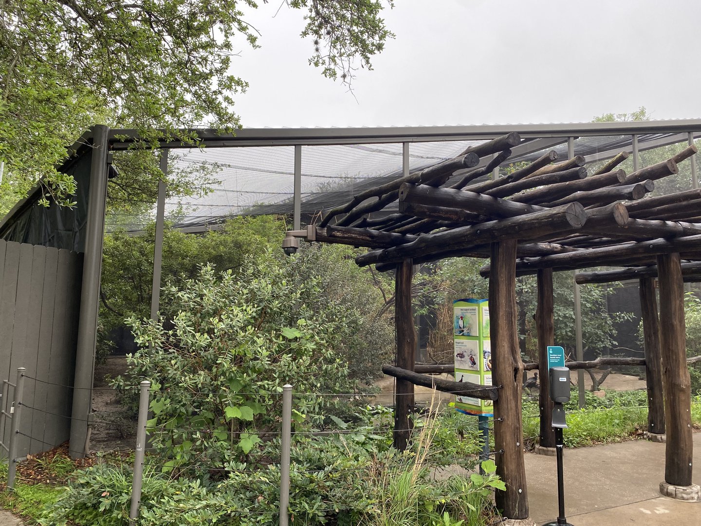 South America’s Pantanal- Waterbird Aviary